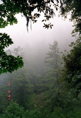 Archives1_IMG_14_rs.jpg