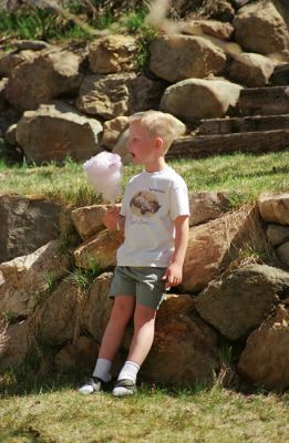 BD_Photos_IMG_24_rs.jpg