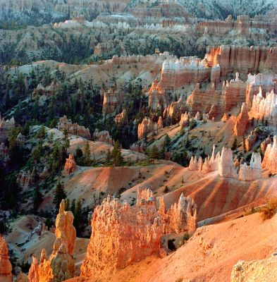 Bryce001_02_rs.jpg