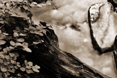 DSC_00229_bw_rs.jpg