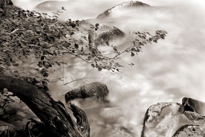 DSC_00233_bw_rs.jpg