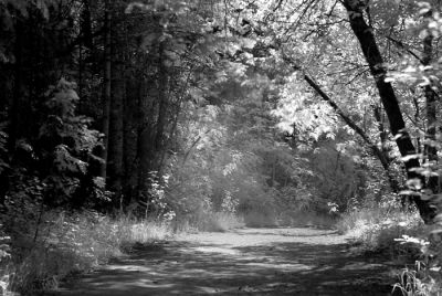 DSC_00254_rs.jpg