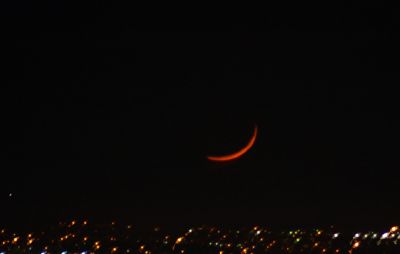 DSC_0340_rs.jpg
