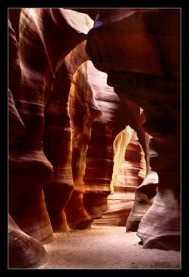 DSC_07608_trs.jpg