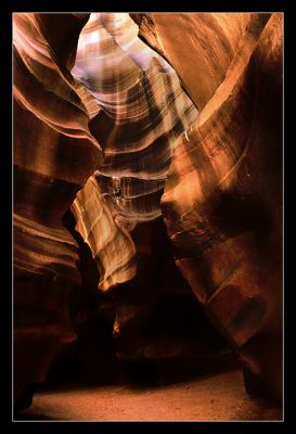 DSC_07612_trs.jpg