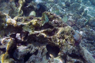 DSC_10192_rs.jpg