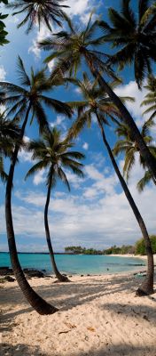 Kekaha State Beach Park
