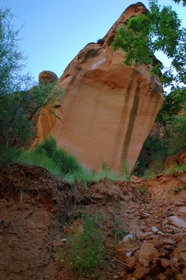 DSC_1062.jpg