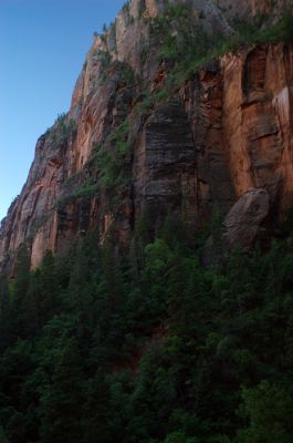 DSC_1085.jpg
