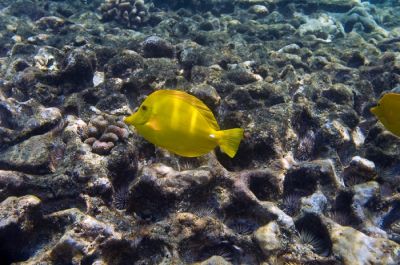 DSC_10944_rs.jpg