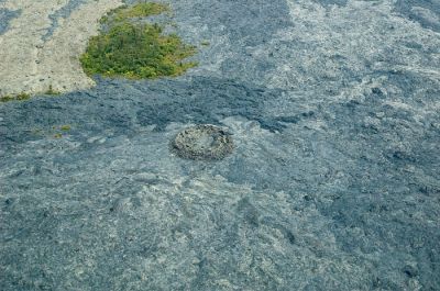 DSC_11288_rs.jpg