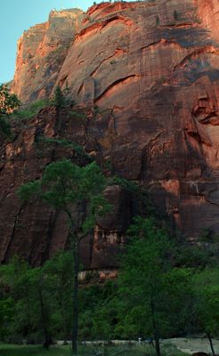 DSC_1139.jpg