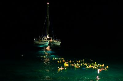 Manta Ray watch at Sheraton Resort
