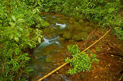 DSC_11551_rs.jpg