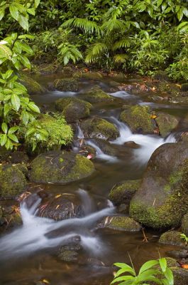 DSC_11553_rs.jpg