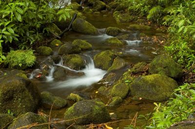 DSC_11561_rs.jpg