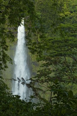DSC_11566_rs.jpg