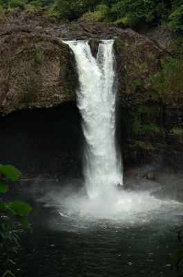 DSC_11599_rs.jpg