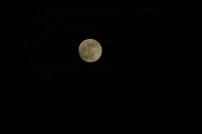 DSC_1161.jpg