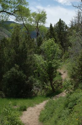 DSC_1225.jpg