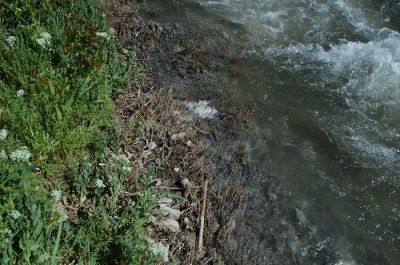DSC_1315.jpg
