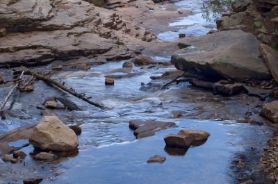 DSC_14779_rs.jpg