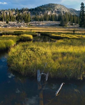 DSC_15182-83_rs.jpg