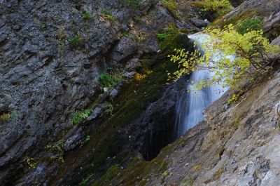 DSC_15519_rs.jpg