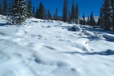 DSC_15705_rs.jpg