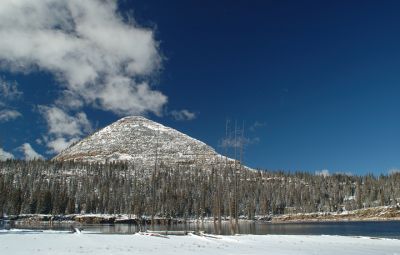 DSC_15707_rs.jpg