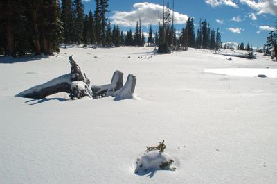 DSC_15709_rs.jpg