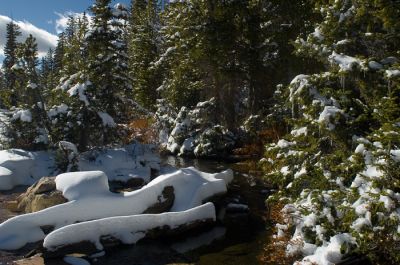 DSC_15742_rs.jpg
