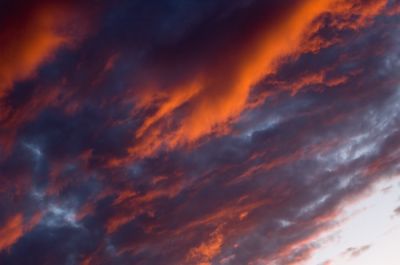 DSC_1603_rs.jpg