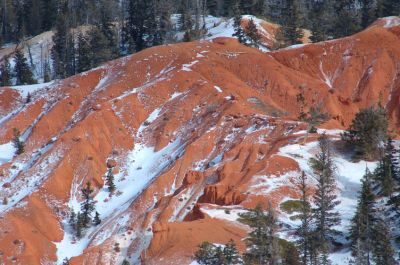 DSC_17175_rs.jpg