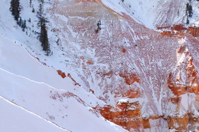 DSC_17196_rs.jpg