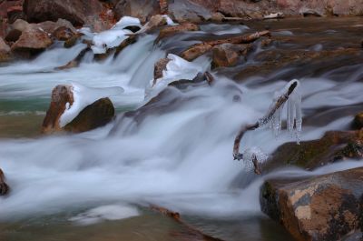 DSC_17285_rs.jpg
