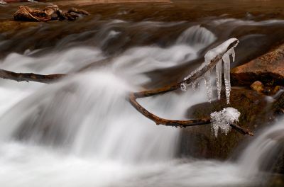 DSC_17287_rs.jpg