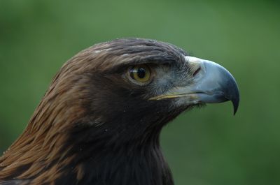 DSC_19066_rs.jpg