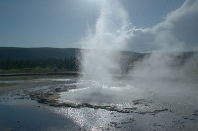 DSC_2011_rs.jpg