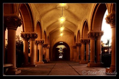 DSC_21203_tps.jpg