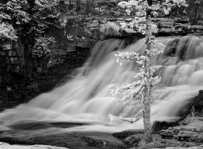 Provo River Falls IR
