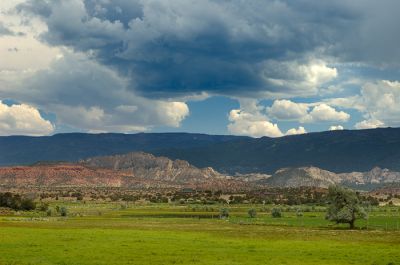 DSC_2265_rs.jpg