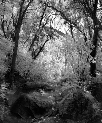 Olympus Mount trail, infrared
September, 16
