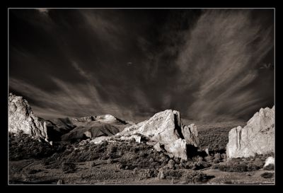 DSC_23235_ps.jpg