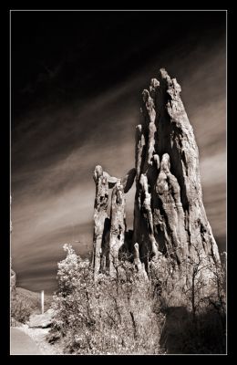 DSC_23298_ps.jpg