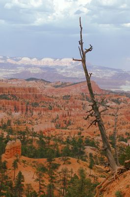 Cloudy. Sunrise Point. Afternoon.
