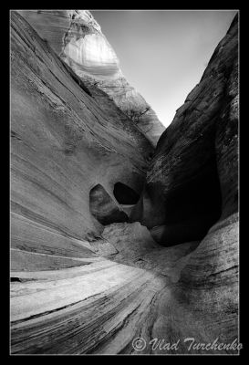 DSC_23921_bw1ps.jpg