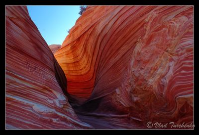 DSC_23942_ps.jpg