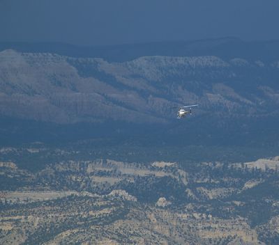 DSC_2463_rs.jpg