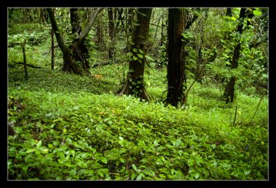 DSC_25763_rs.jpg